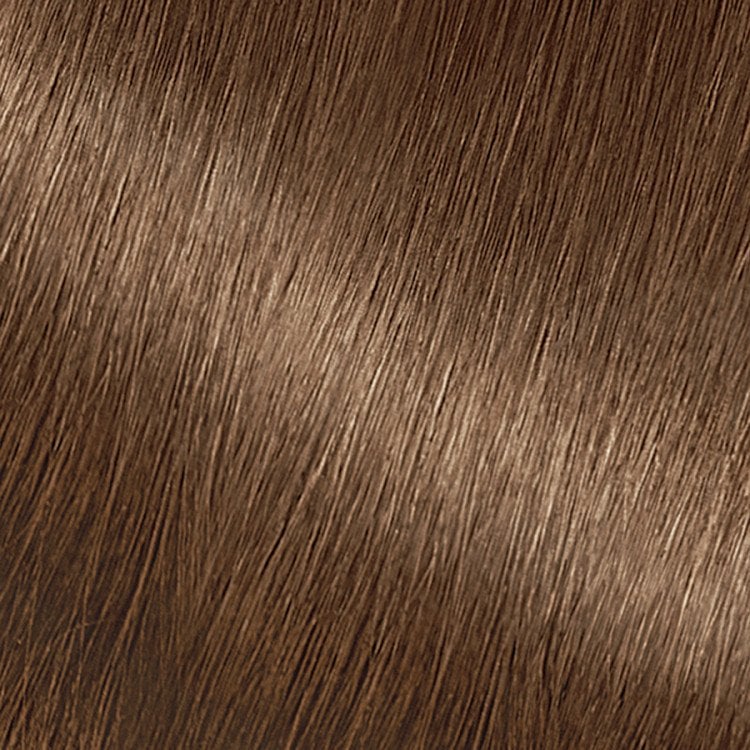Light Ash Brown Hair Shiny effect - Garnier