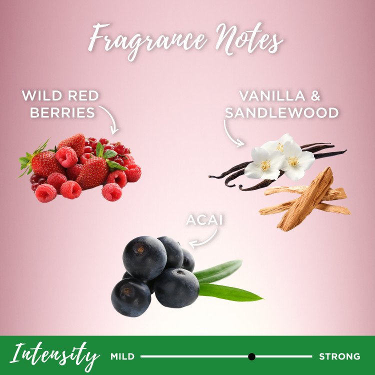 Fragrance notes of Wild Red Berries, Acai, Vanilla & Sandlewood