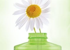 Beauty Responsibly - Did You Know Fructis