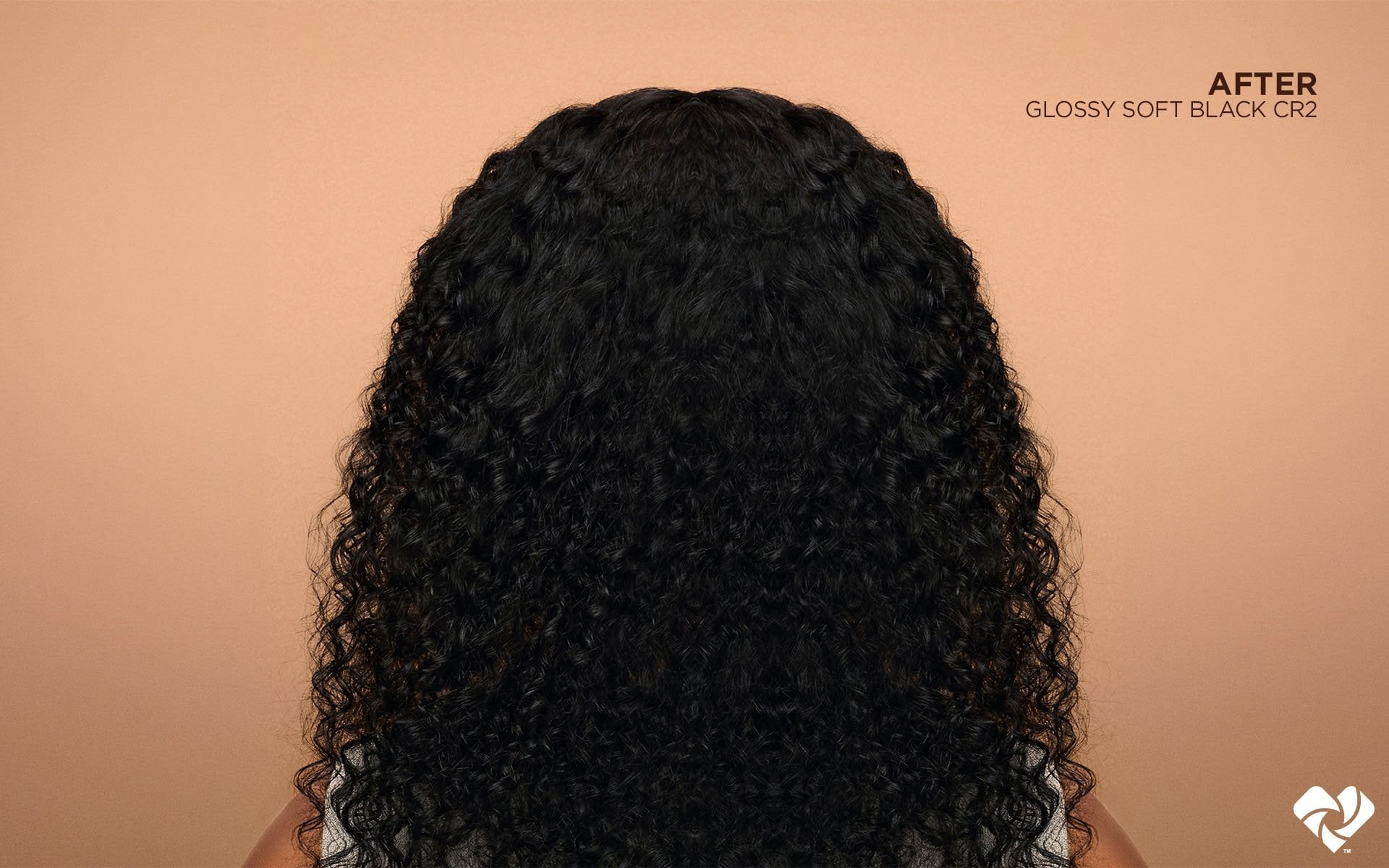 Rear view of the same hair transformed into sleek, glossy, uniformly black curls with well-defined, smooth ringlets and no visible gray at the roots, against a peach background, labeled "AFTER - GLOSSY SOFT BLACK CR2“.