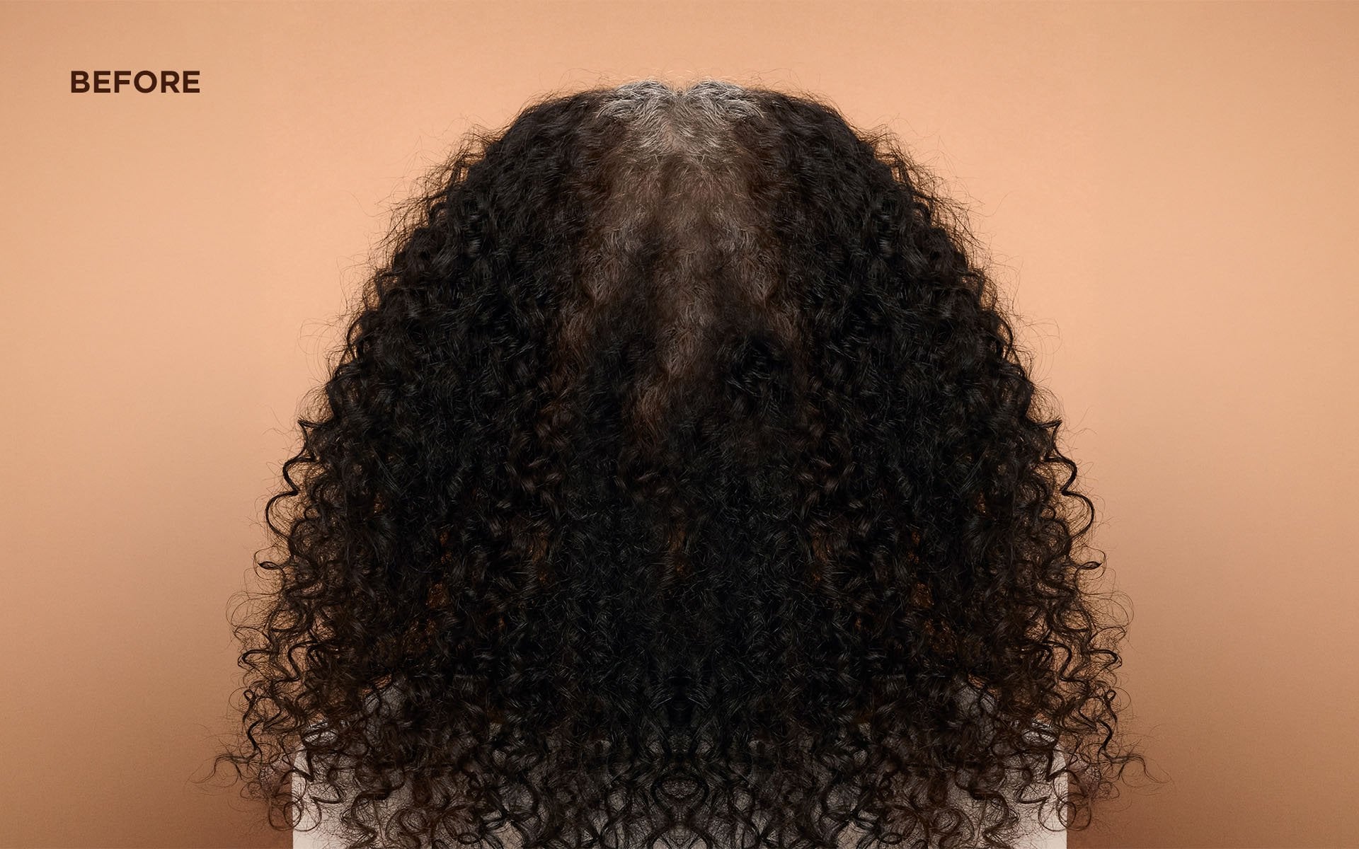 Rear view of a person's dark curly hair with a visibly gray root/part area and frizzy, undefined ringlets against a peach background, labeled "BEFORE."
