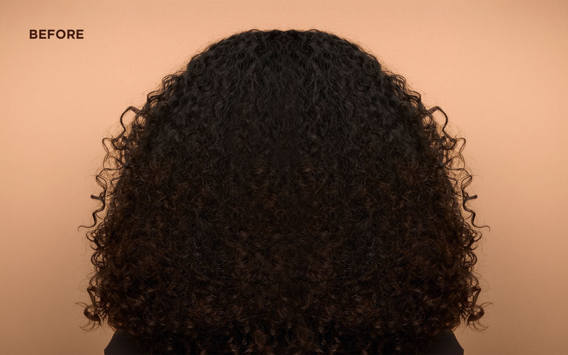Rear view of a person's voluminous, dry-looking dark brown curly hair with visible frizz and undefined ringlets against a peach background, labeled "BEFORE."
