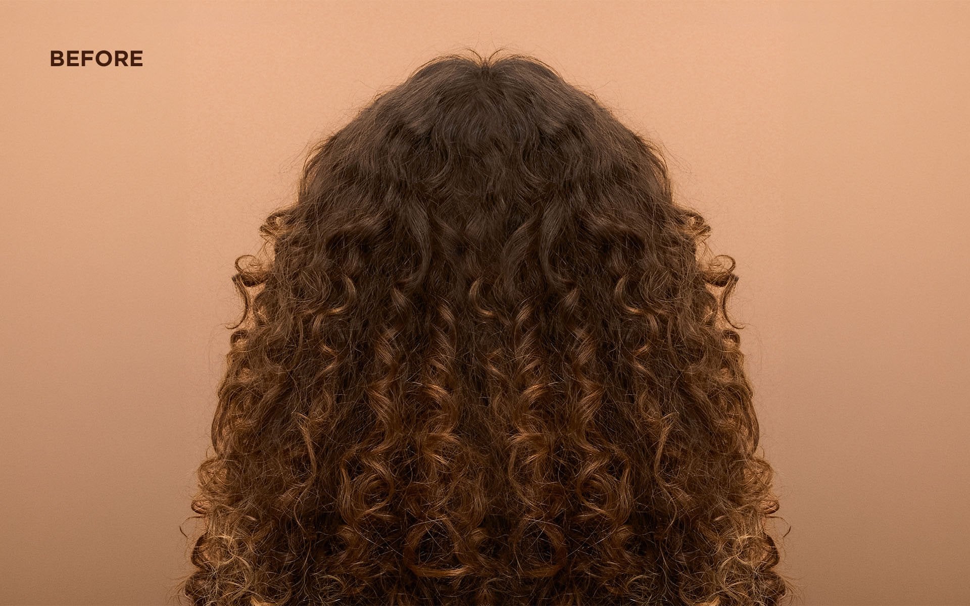 Rear view of a person's long, dark brown curly hair with subtle warm highlights and loosely defined ringlets against a peach background, labeled "BEFORE."