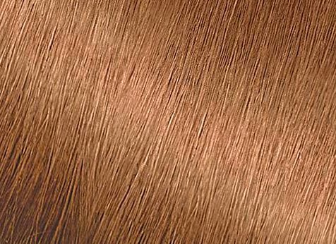 Honey Blonde Hair Color | GARNIER