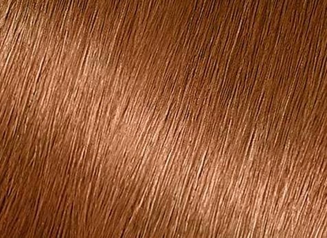 Brown Sugar Dark Blonde Hair Color Shade | GARNIER 
