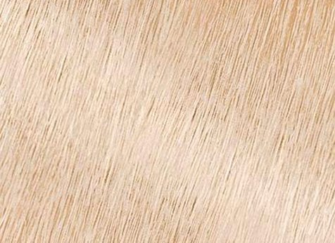 Icy Blonde Hair Color Shade | GARNIER