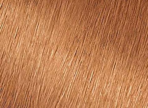Dirty Blonde Hair Color | GARNIER 