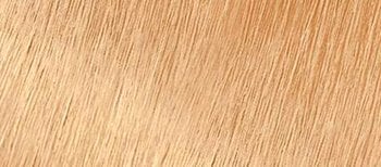 High Lift Blonde Hair Color | GARNIER