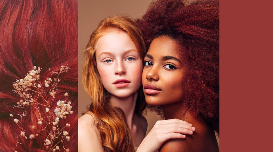 Blinke Rykke Modish Red Hair: These Are the 16 Most Popular Shades - Garnier