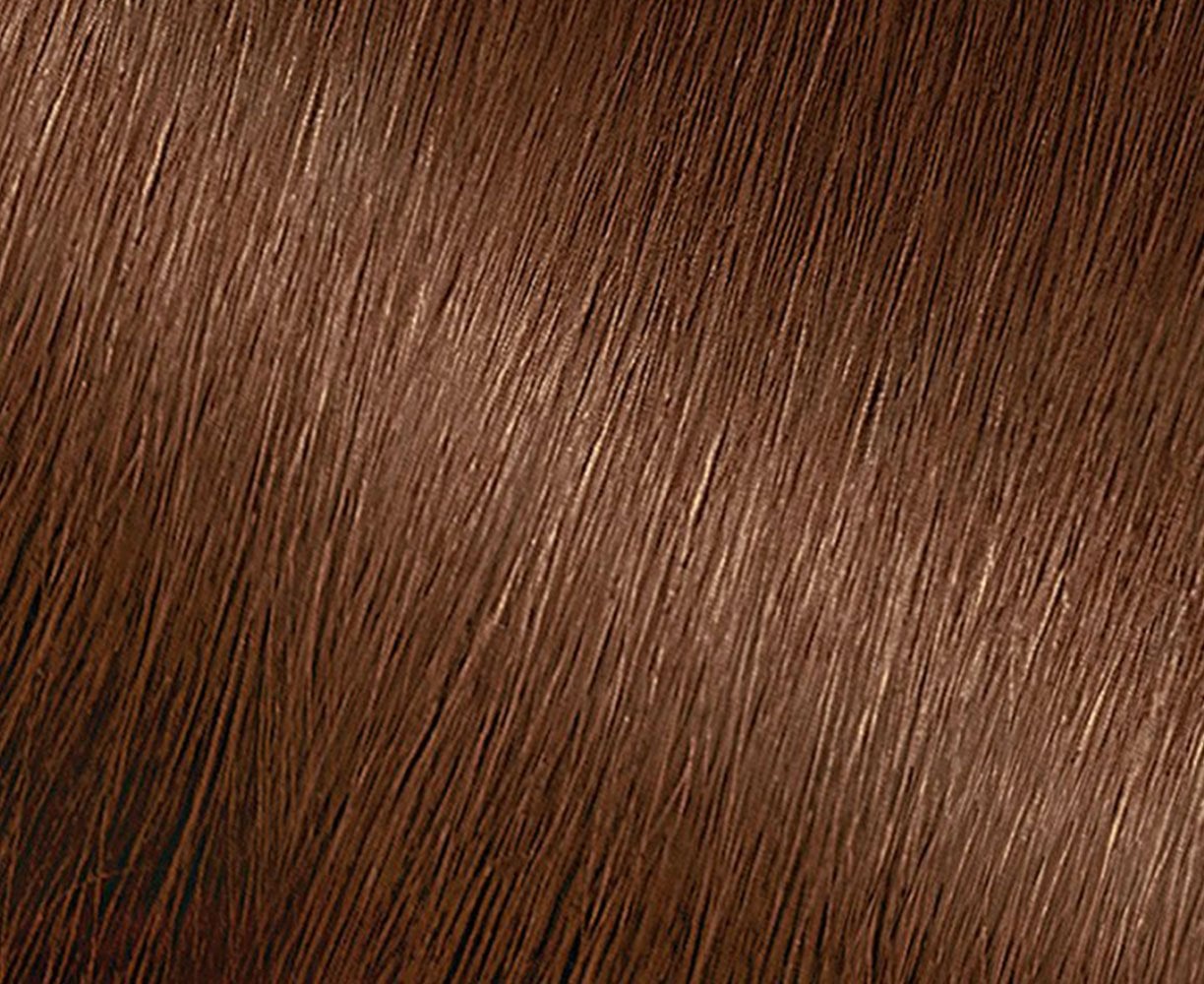 Chestnut Brown Hair Color