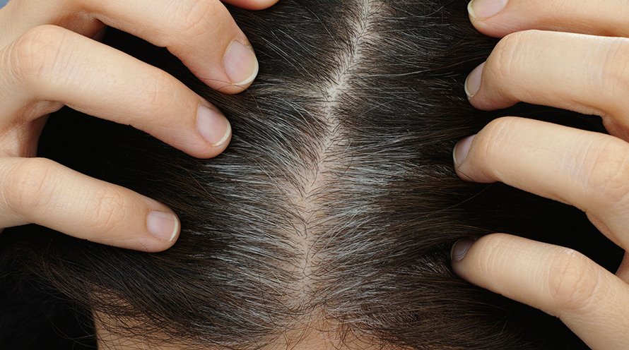 Root Touchup Hair Color For Root Touch Up How To Articles Tips