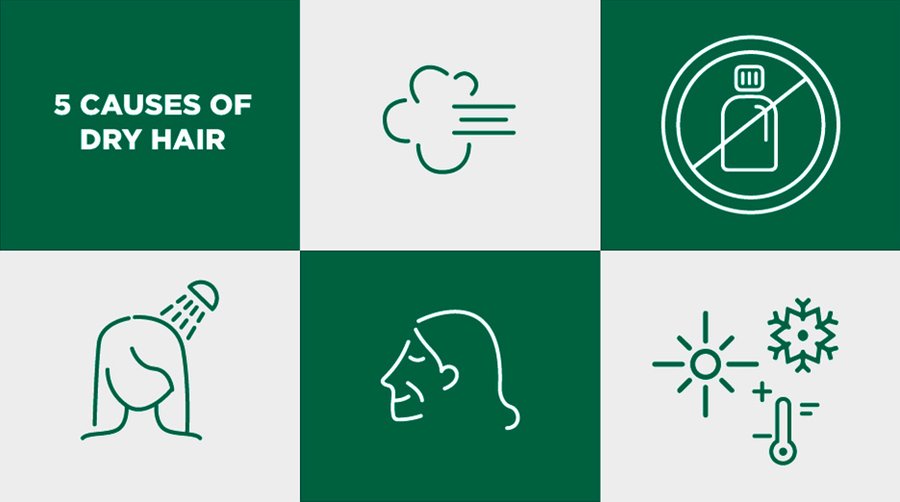 The 5 causes of dry hair and how to treat it Garnier