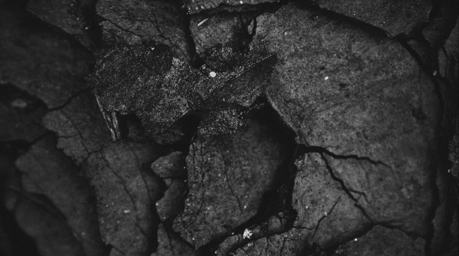 Charcoal Shampoo Benefits For Hair - Garnier