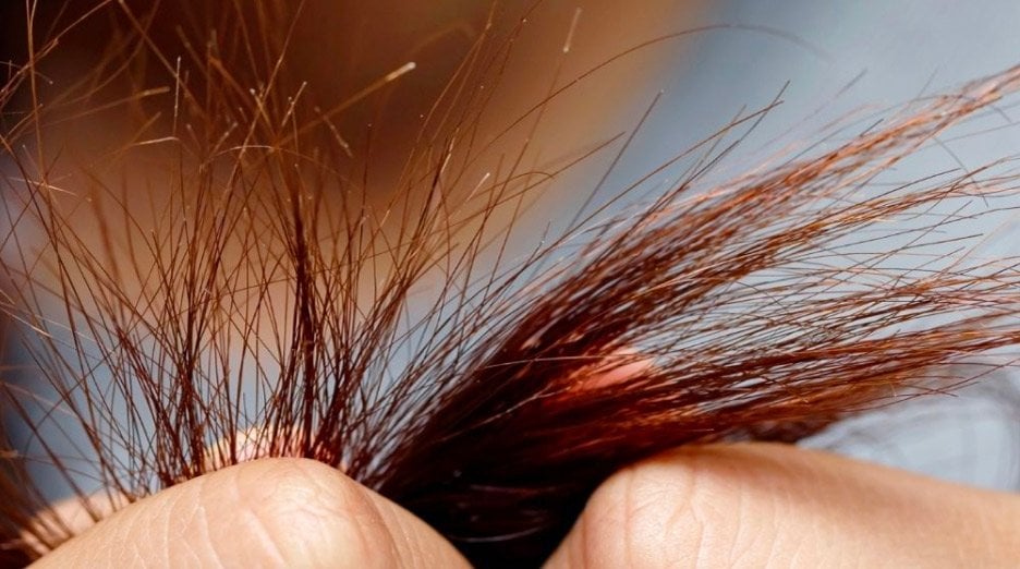 What Causes Split Ends & How To Prevent Them - Garnier
