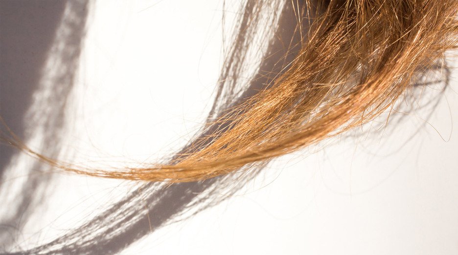 Close-up of split ends on a strand of light brown hair, demonstrating the frayed, damaged appearance.
