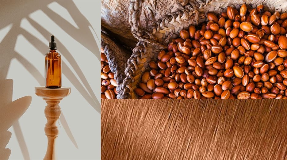 Argan Oil Hair Benefits: This is everything you need to know - Garnier