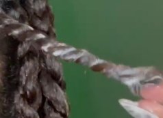 How Do You Twist Your Hair For Heatless Curls? - Garnier How Do You Twist Your Hair For Heatless Curls? - Garnier