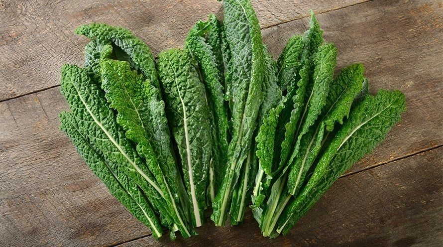 antioxidant skin care how to help protect your skin from free radicals