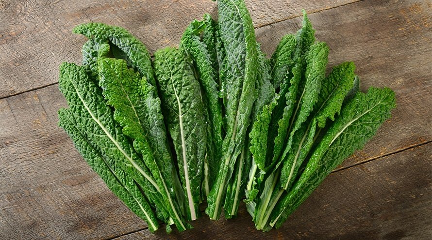 antioxidant skin care how to help protect your skin from free radicals