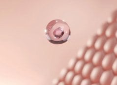 Ceramide For Damaged Skin Barrier - Garnier