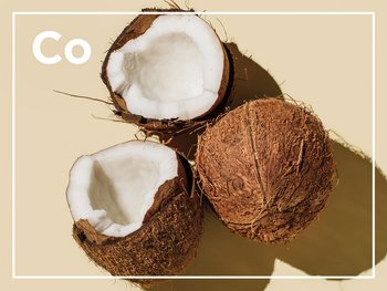 Three coconuts on a light background, one whole and two halved, with the letters "Co" visible in white. Coconut is a key ingredient in many Fructis products.