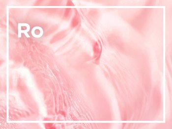 A close-up abstract image of pink, soft textures, possibly rose petals or a similar organic material, with the letters "Ro" visible in white.
