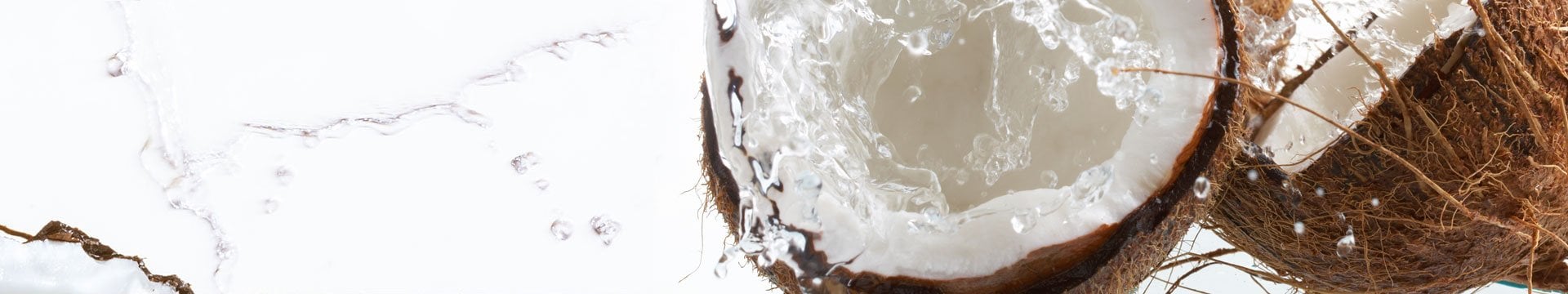 2_3_4_03a_keyingredient01_v1