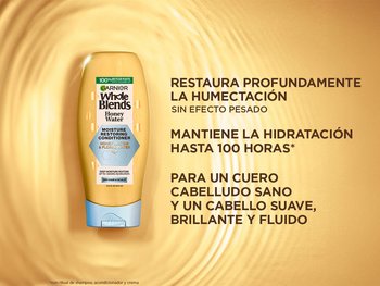 A yellow and blue bottle of Garnier Whole Blends Honey Water Moisture Restoring Conditioner is set on a shimmering, honey-gold background. Text beside it lists product benefits: "DEEPLY RESTORE MOISTURE WITHOUT WEIGH-DOWN," "LOCK IN HYDRATION FOR UP TO 100HRS*," and "FOR HEALTHY SCALP & SMOOTH, SHINY, FREE-FLOWING HAIR." Small text notes it's for "DRY HAIR & SCALP" and results are "*with ritual of shampoo, conditioner & cream."