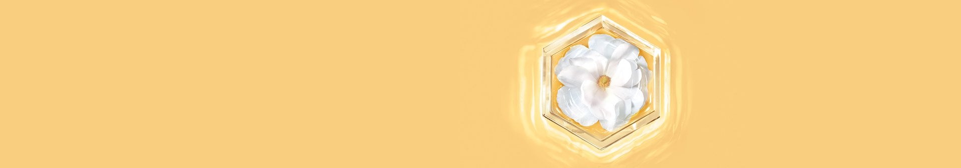 first fixed slider