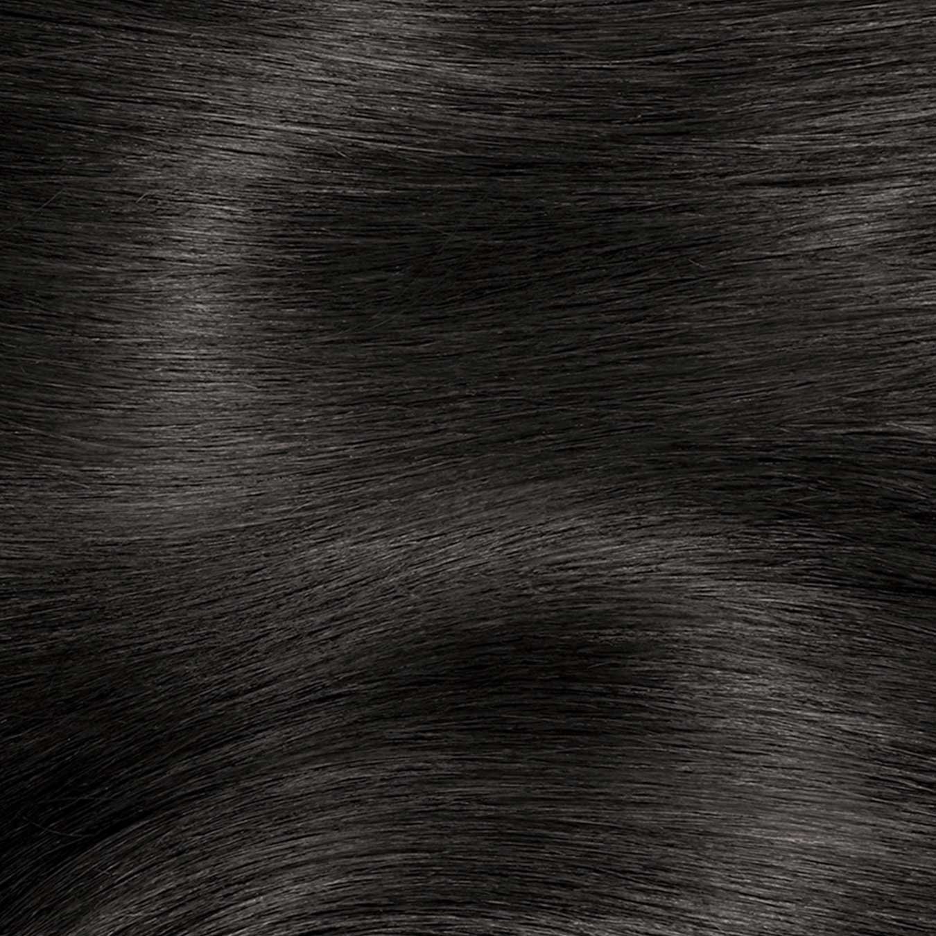 Garnier Color Sensation 2.0 - Soft Black Permanent Hair Color Swatch