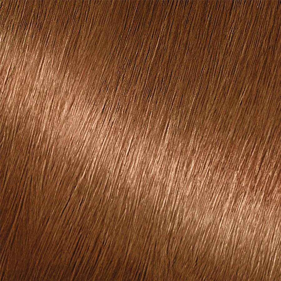 Garnier Nutrisse Nourishing Color Creme 63 - Light Golden Brown (Brown Sugar) Permanent Hair Color