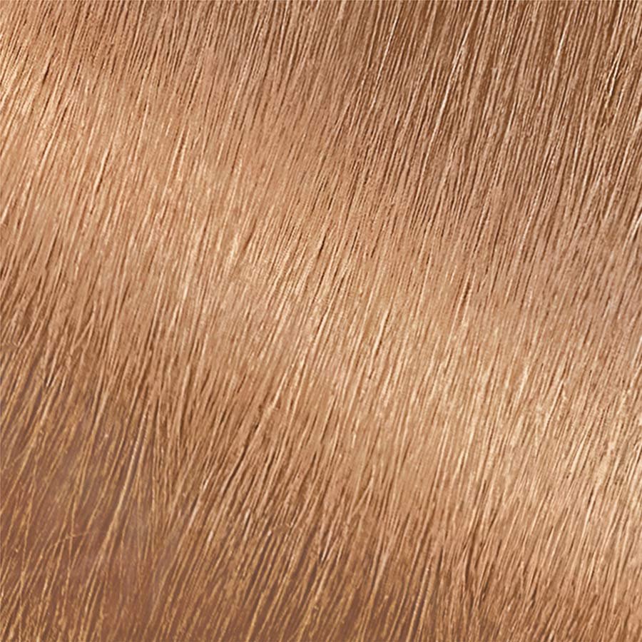 Garnier Nutrisse Nourishing Color Creme 80 - Medium Natural Blonde (Butternut) Permanent Hair Color
