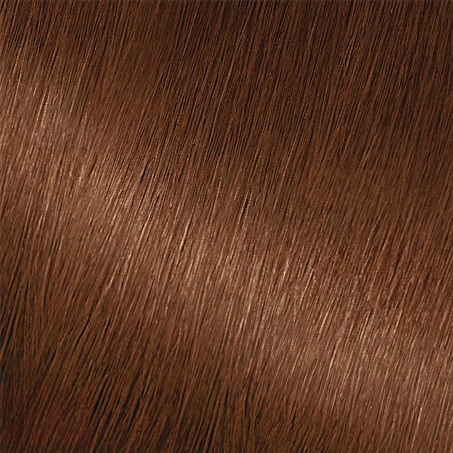 Garnier Nutrisse Nourishing Color Creme 53 - Medium Golden Brown (Chestnut) Permanent Hair Color