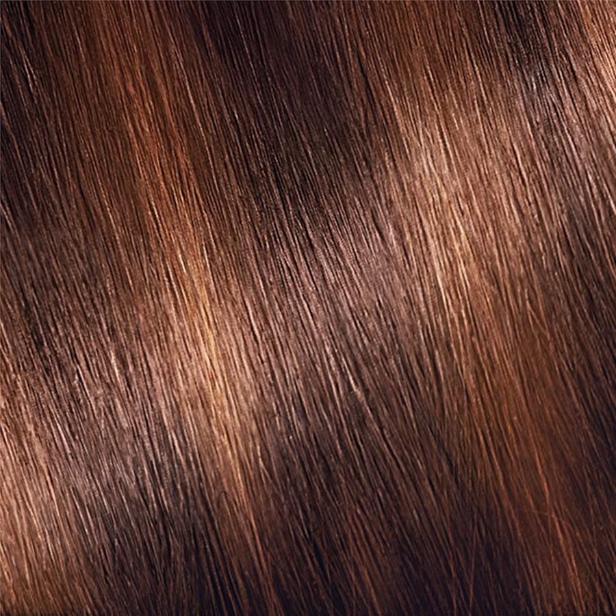 Garnier Nutrisse Color Creme H3 - Warm Bronze (Multi-Lights Highlighting Kit) Permanent Hair Color
