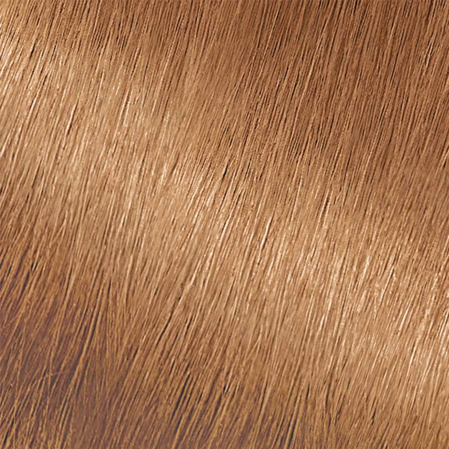 Garnier Nutrisse Nourishing Color Creme 73 - Dark Golden Blonde (Honeydip) Permanent Hair Color