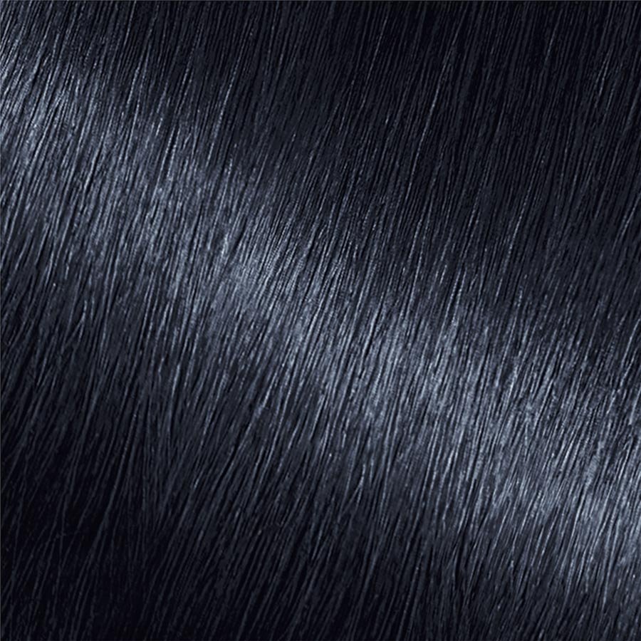 Garnier Nutrisse Nourishing Color Creme 22 - Intense Blue Black Permanent Hair Color