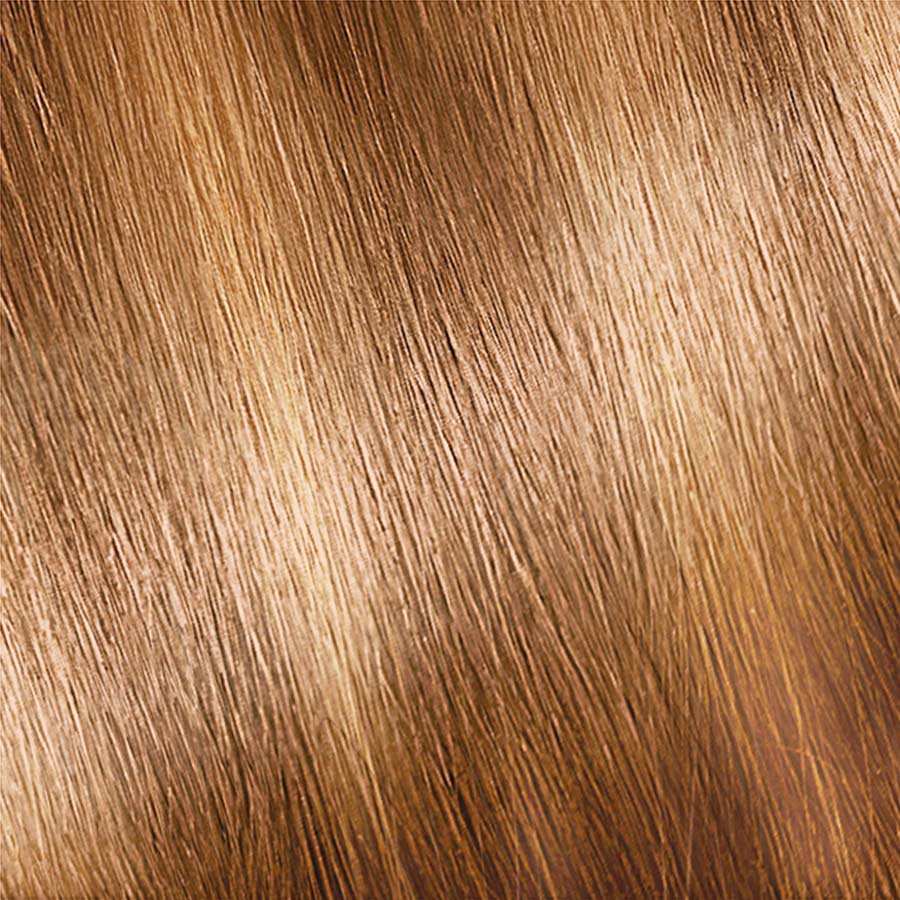 Garnier Nutrisse Color Creme H2 - Golden Blonde (Multi-Lights Highlighting Kit) Permanent Hair Color