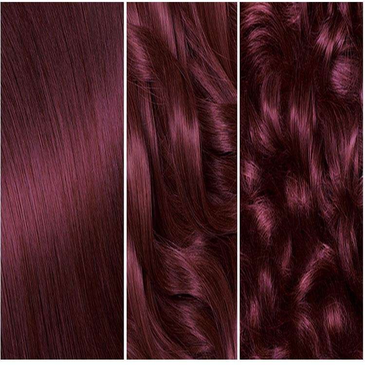 Garnier Hair Color - BR2