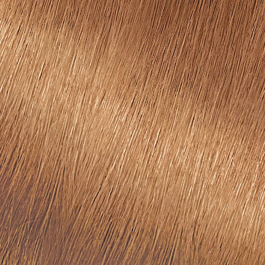Garnier Nutrisse Nourishing Color Creme HL3 - Golden Honey Permanent Hair Color