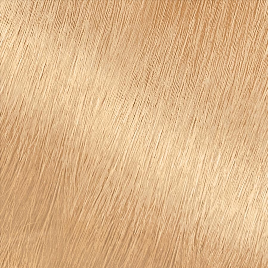 Garnier Hair Color Nutrisse Swatch Lightest Platinum Blonde Swatch PL1