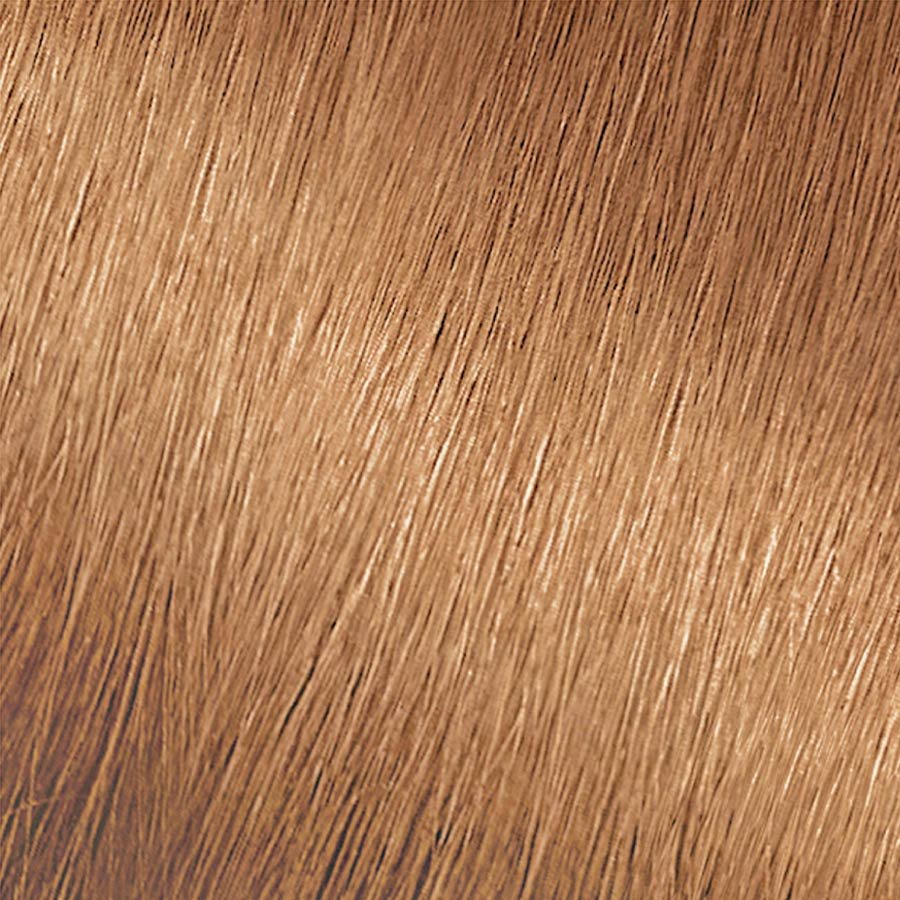 Garnier Nutrisse Nourishing Color Creme HL1 - Rich Toffee Permanent Hair Color