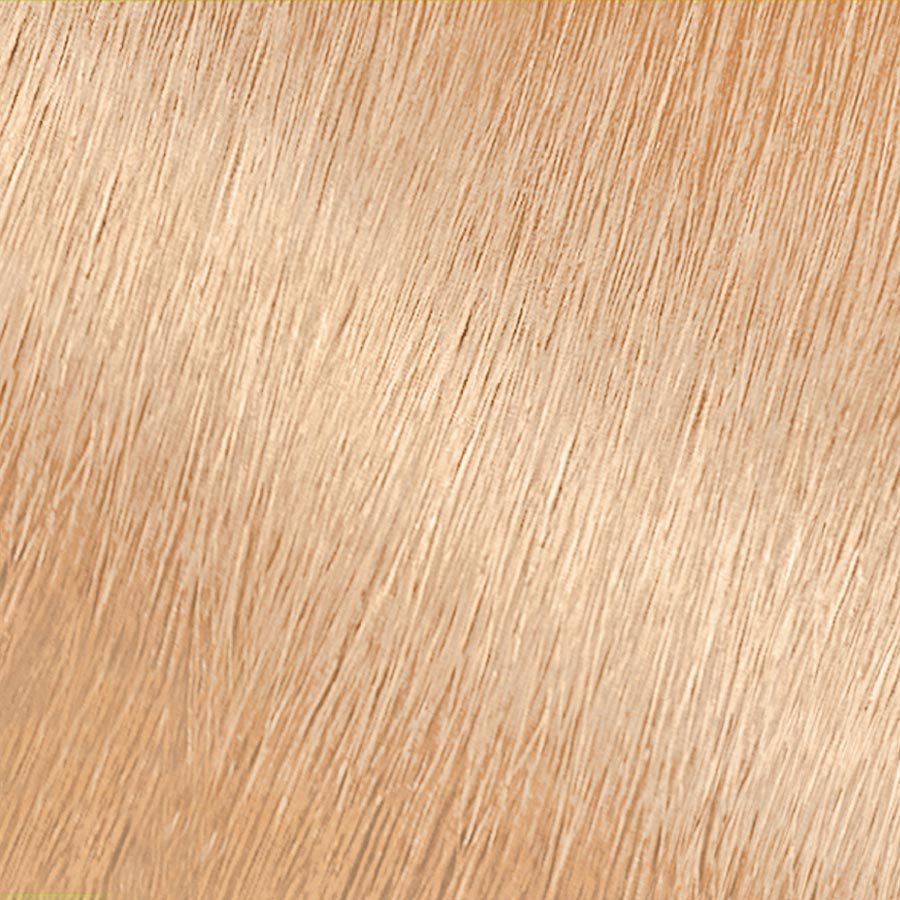 Garnier Nutrisse Ultra Color LB1 - Ultra Light Cool Blonde Color Cream Permanent Hair Color