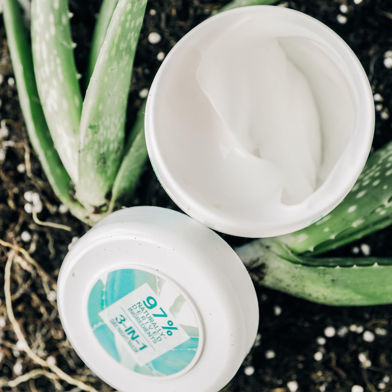 Garnier SkinActive 3-in-1 Day/Night Mask with Aloe Juice open between two aloe plants in a bed of soil.
