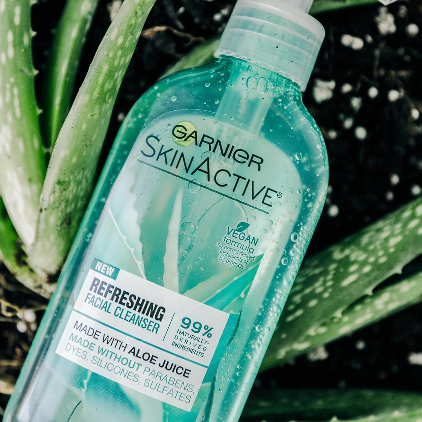 Garnier SkinActive Refreshing Facial Cleanser on a potted aloe plant.