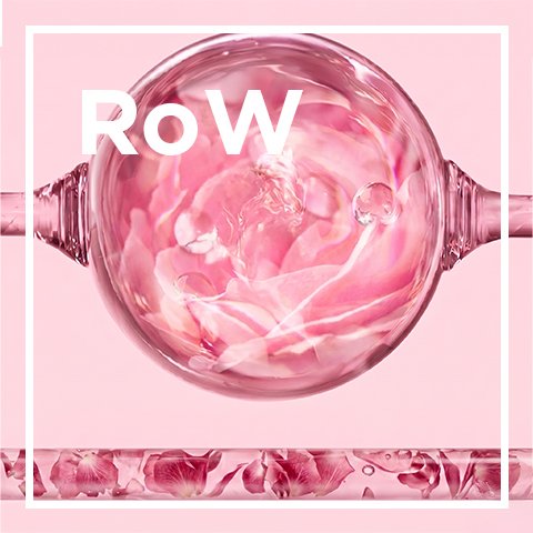 Waterdrops on a rose