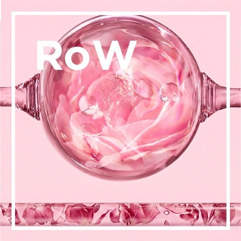 Waterdrops on a rose