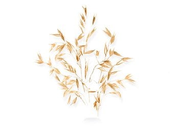 7_8_02a_content_block_v1