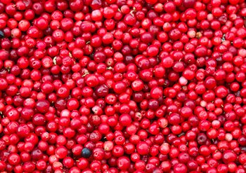 Garnier ingredients Cranberry cranberry for colors