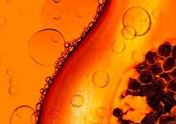 Garnier ingredients Papaya for hair