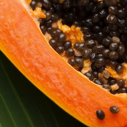 Ingredient Papaya